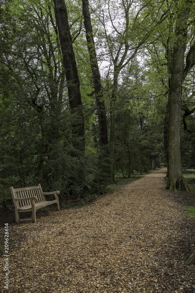 Empty bench in a park surrounded by trees