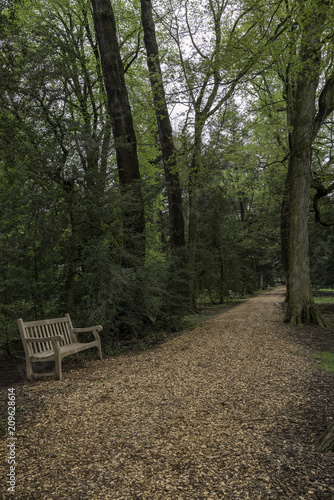 Empty bench in a park surrounded by trees