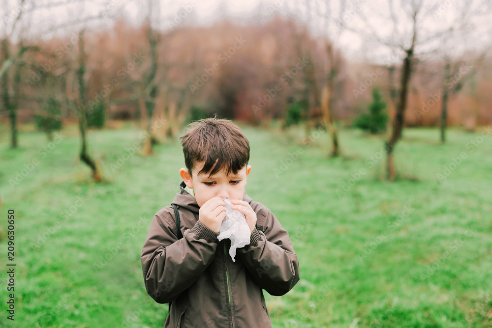 The boy blows his nose in the scarf. Allergy is due to flowering. Snotty nose of a boy (child). The boy blows his nose in the scarf. Allergy is due to flowering. Snotty nose of a boy (child).