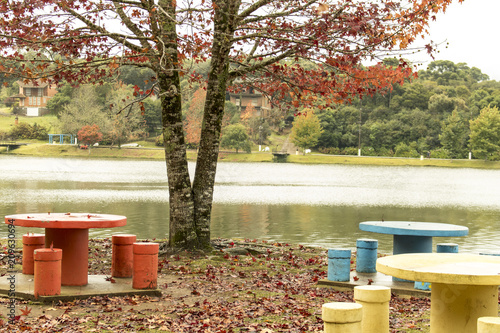 colorful picnic tables of the lake in autum