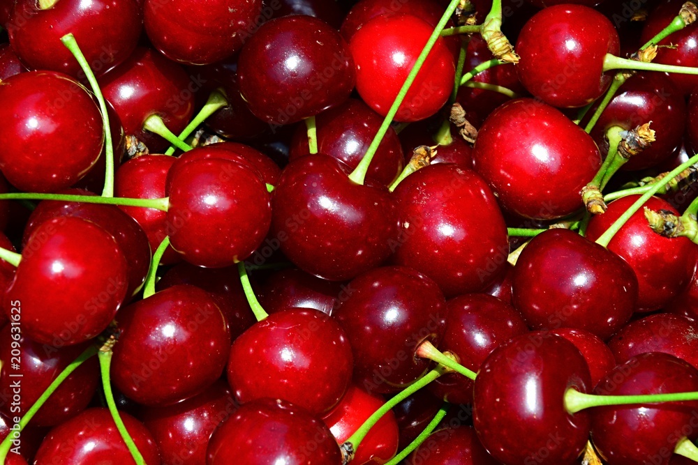 Texture of mature sour cherries Cerasus Vulgaris with foot-stalks harvested in late june Texture of mature sour cherries Cerasus Vulgaris with foot-stalks harvested in late june