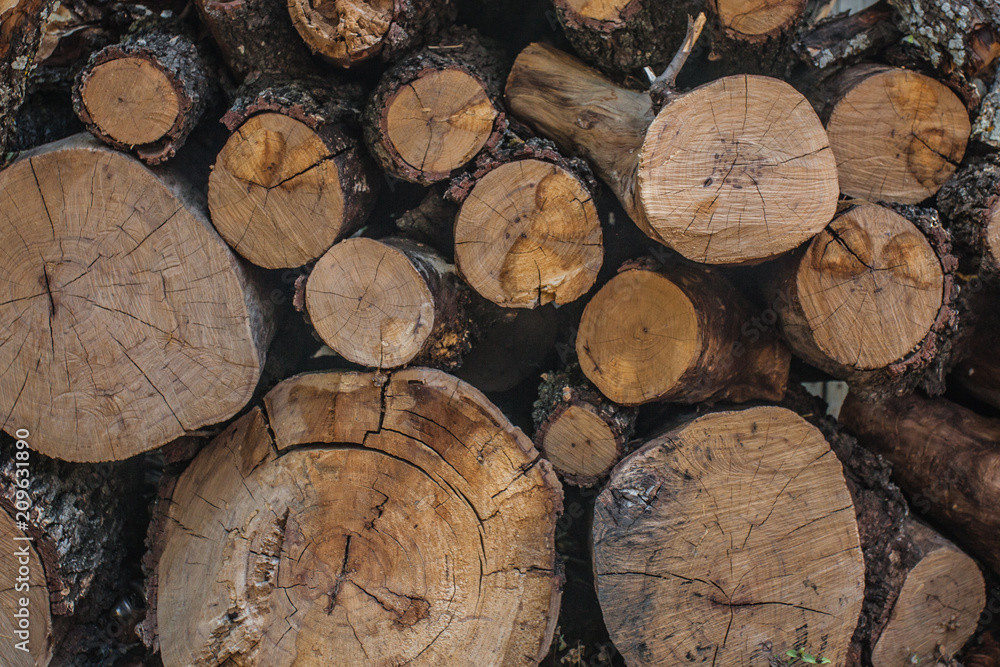 wood stack trunk brushwood firewood wood stack trunk brushwood firewood