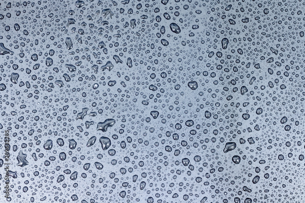 Black background filled with water droplets Black background filled with water droplets