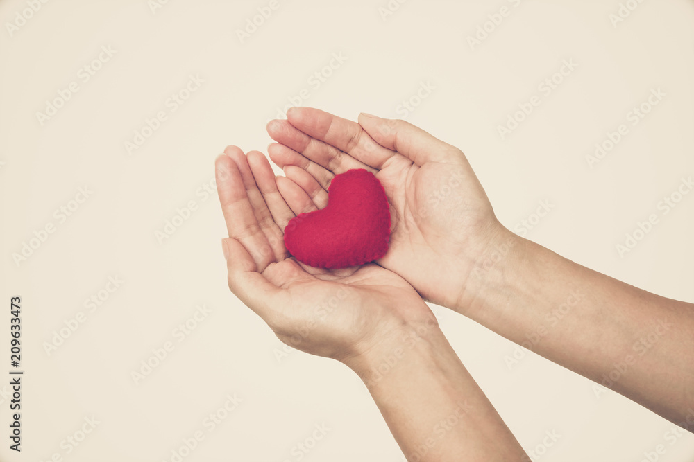 Female hand holding a red heart isolated on white background Female hand holding a red heart isolated on white background