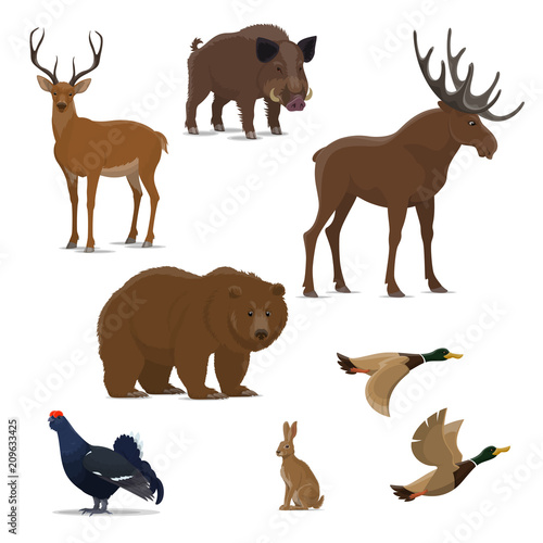 Wild forest animal and bird icon of hunting sport © Vector Tradition