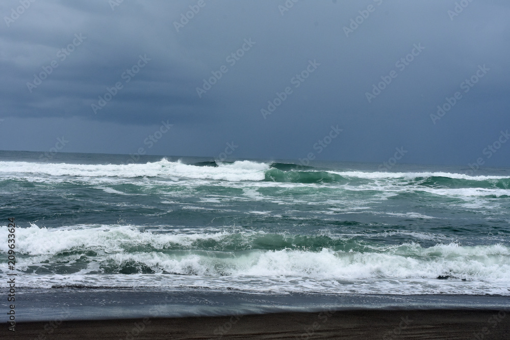 Fototapeta premium Central Oregon Pacific Coast