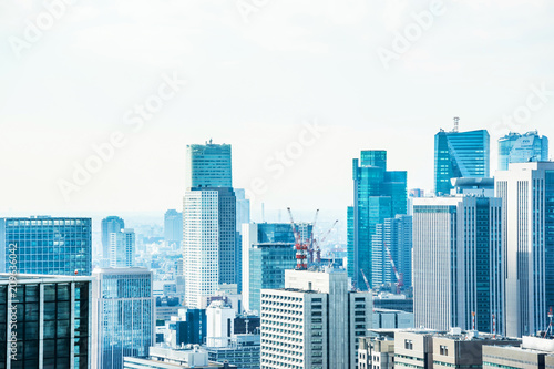 Asia Business concept for real estate and corporate construction - panoramic modern city skyline bird eye aerial view under blue sky in Tokyo  Japan