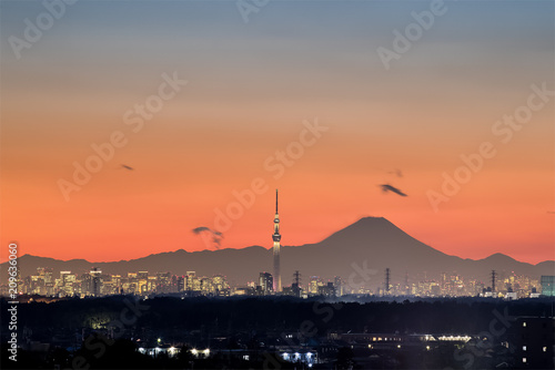 Tokyo night view   Tokyo Skytree landmark with Tokyo downtown building area and Mountain Fuji in winter season