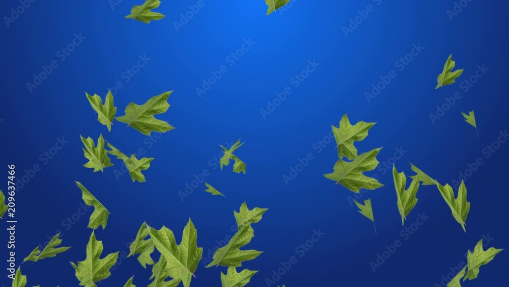 4k Abstract 3d maple plant leaves autumn tree space particle design romance wind blowing art background. 4k Abstract 3d maple plant leaves autumn tree space particle design romance wind blowing art background.