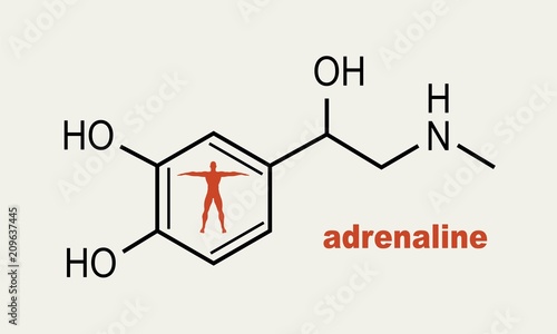 Chemical molecular formula hormone adrenaline. Infographics illustration. Man silhouette