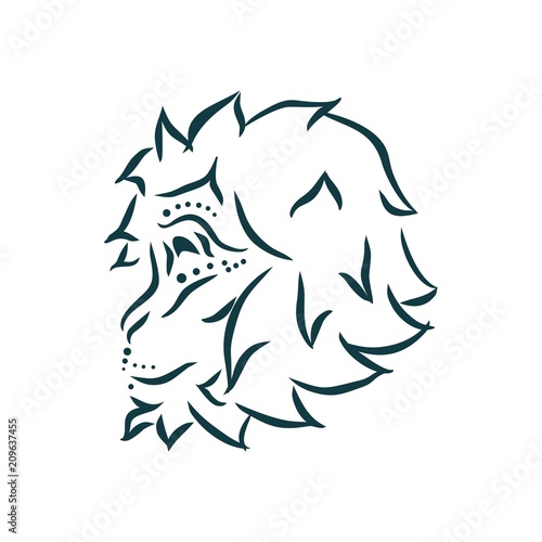 Fototapeta Naklejka Na Ścianę i Meble -  Ornamental tattoo monkey head. Abstract hand drawn style
