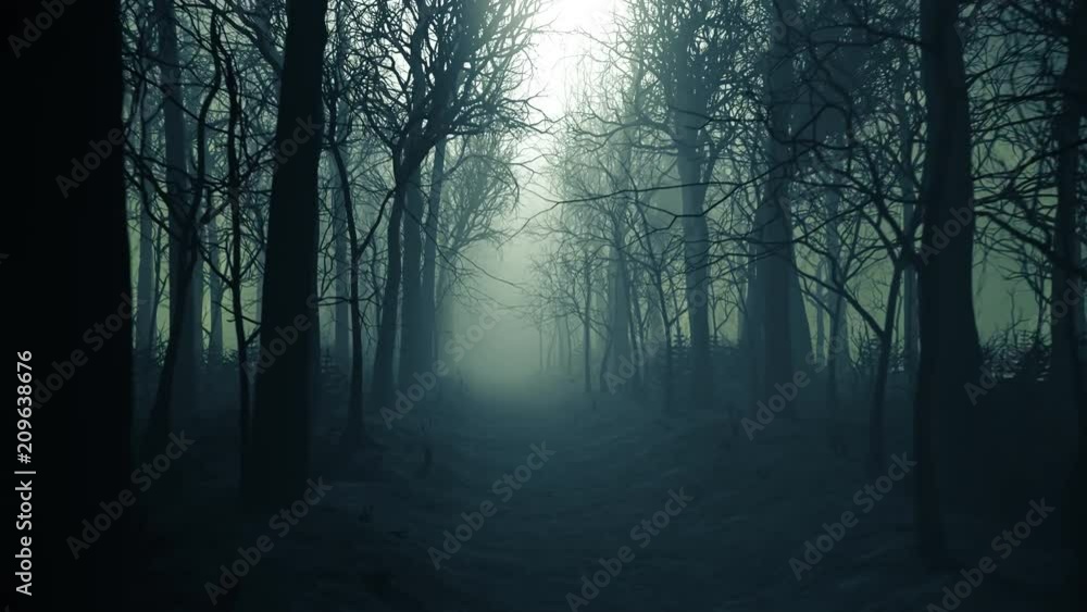 Forest alley in dense fog. Bare trees during winter. Dark moody landscape.