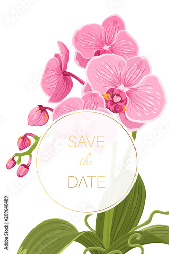 Wedding invitation save date orchid phalaenopsis