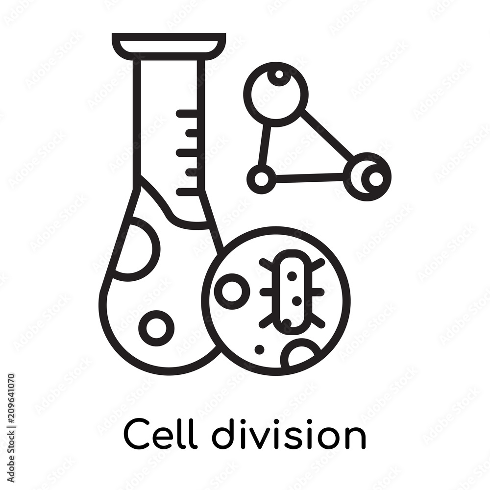 Cell division icon vector sign and symbol isolated on white background, Cell division logo concept, outline symbol, linear sign Cell division icon vector sign and symbol isolated on white background, Cell division logo concept, outline symbol, linear sign