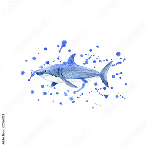 Shark watercolor raster. Animals underwater world raster.