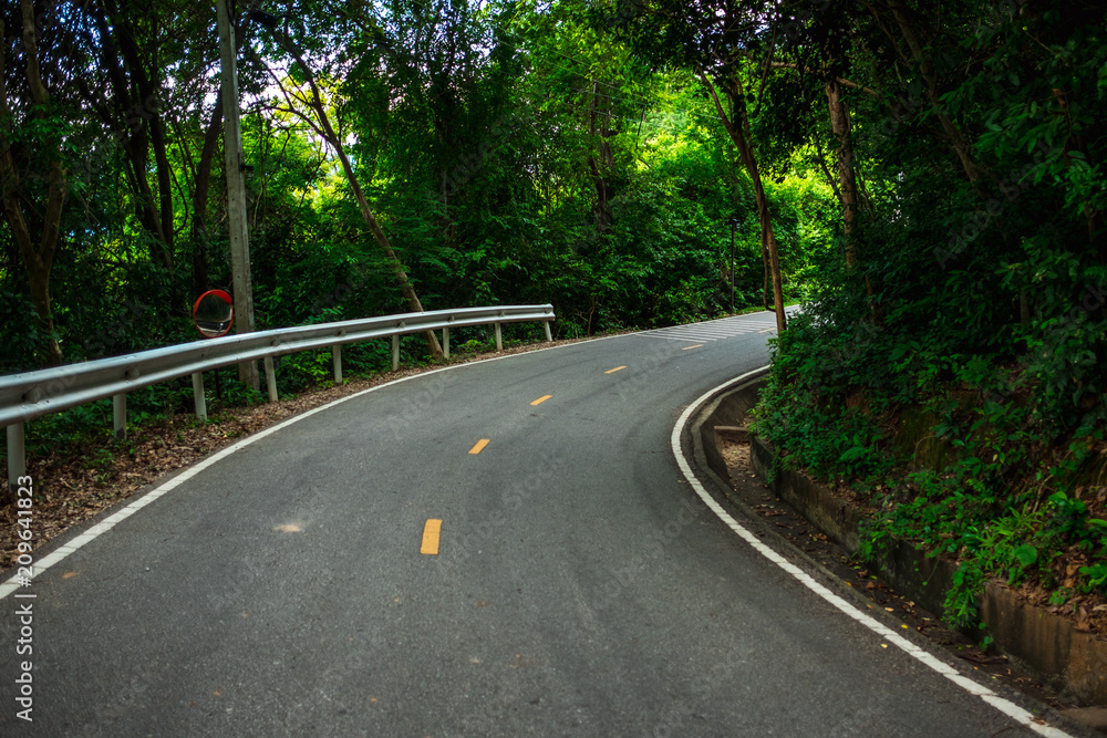 nature landscape background road in forest with tree are environment in day time