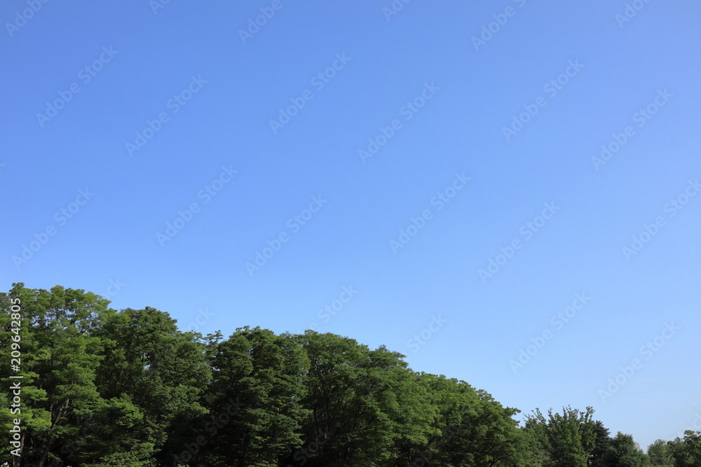 green mountain and blue sky