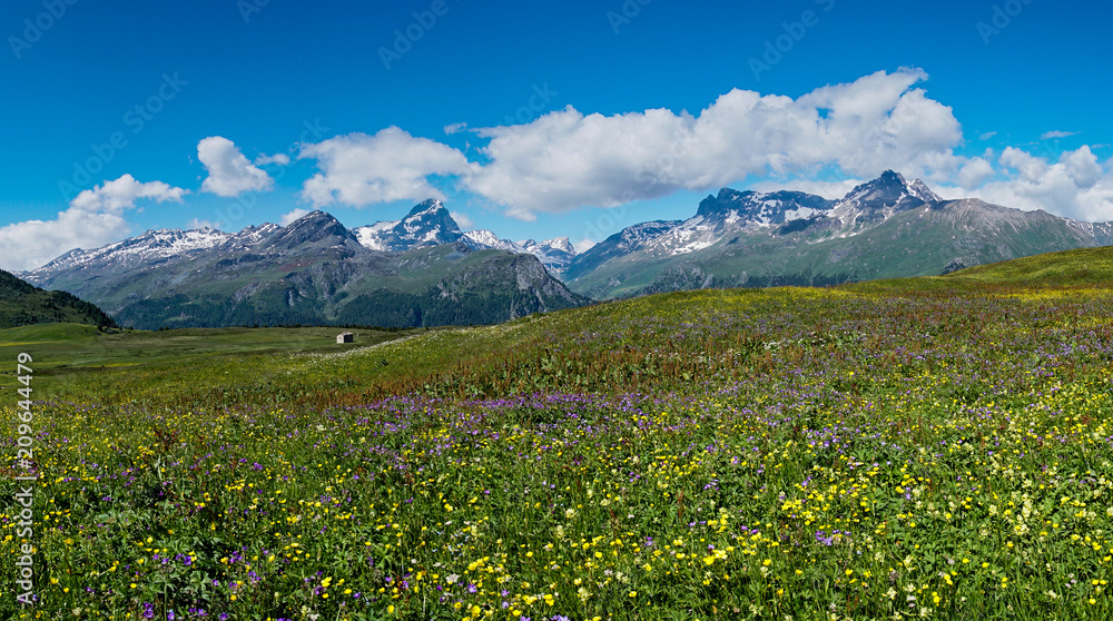 idyllic mountain landscape in the summertime idyllic mountain landscape in the summertime