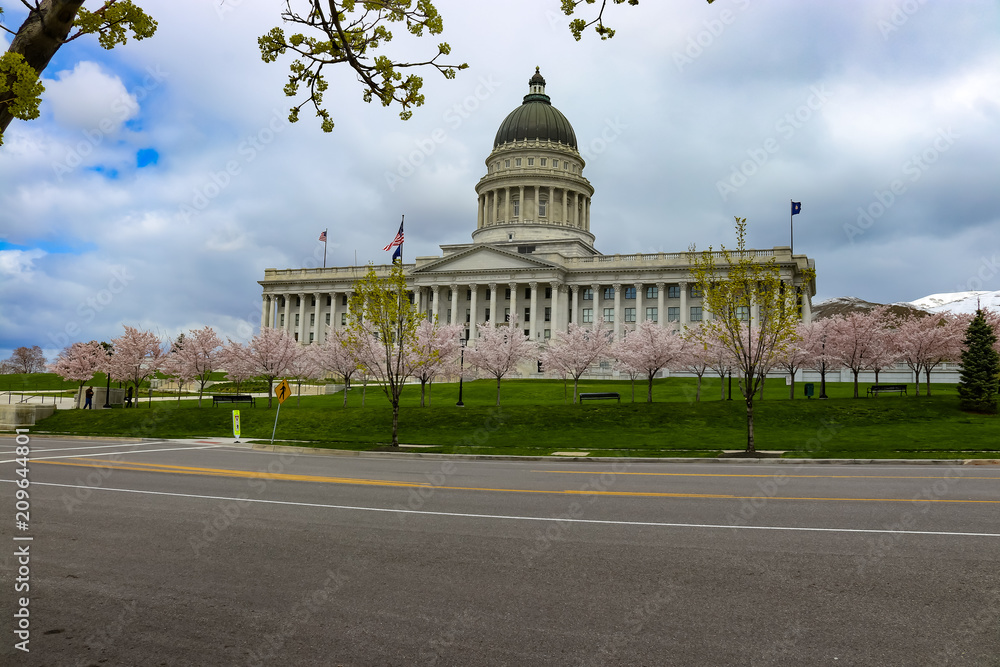  Spring in Utah with cherry blossom lining the street in front of  the State Capitol in Salt Lake City Utah. 