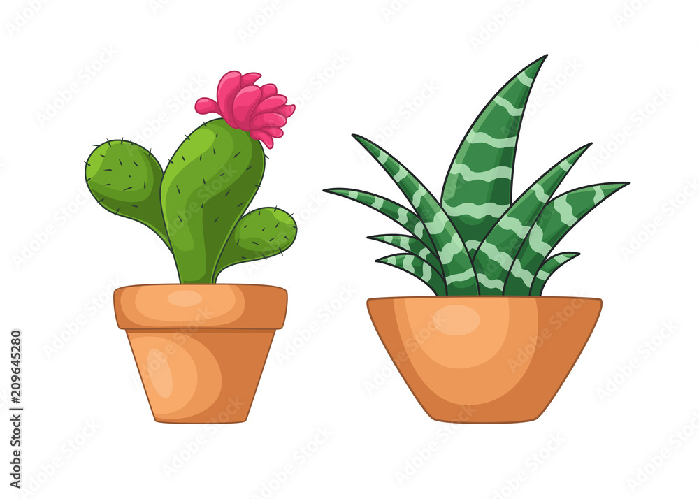Fototapeta premium Cartoon set of green cactuses. Element design. Vector illustration on white background. Abstract cactus in flower pot.