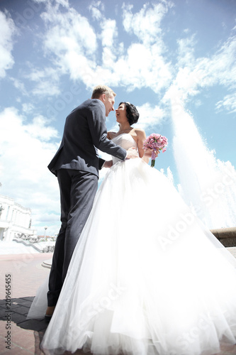 happy bride and groom on the background of the city