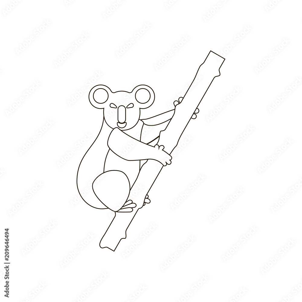Obraz premium Koala bear coloring pages