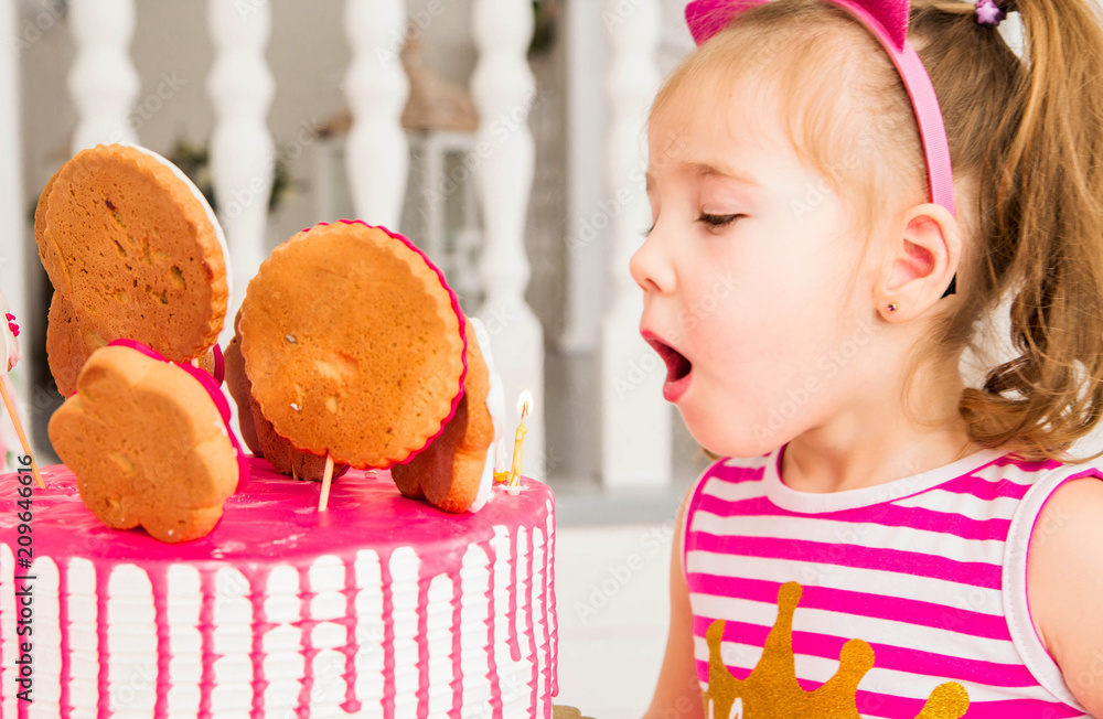 little girl blowing out candles on birthday cake Stock Photo Adobe Stock