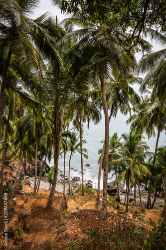 Wallpaper Mural Landscape of GOA Torontodigital.ca