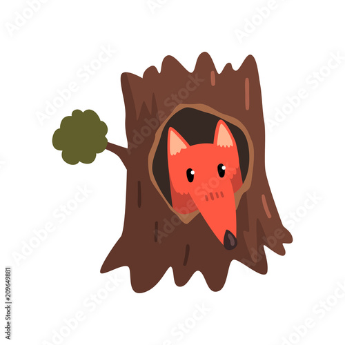 Cute fox sitting in hollow of tree, hollowed out old tree and cute animal cartoon character inside vector Illustration on a white background