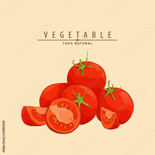 fresh ripe tomatoes illustration