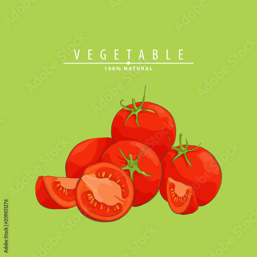 fresh ripe tomatoes illustration