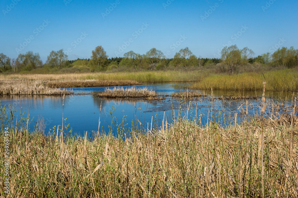 Basins river Biebrza in Osowiec, Podlasie, Poland Basins river Biebrza in Osowiec, Podlasie, Poland