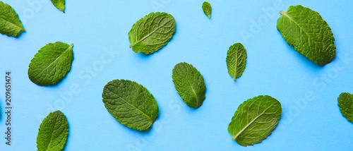 pattern of fresh green mint leaves on a blue background