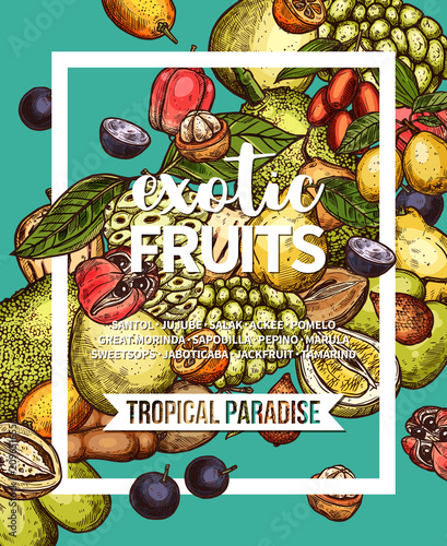 Exotic tropical fruit sketch banner of food design