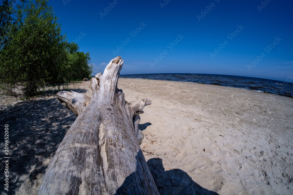 Summer sea, beach and clear blue sky. Concept of relaxation