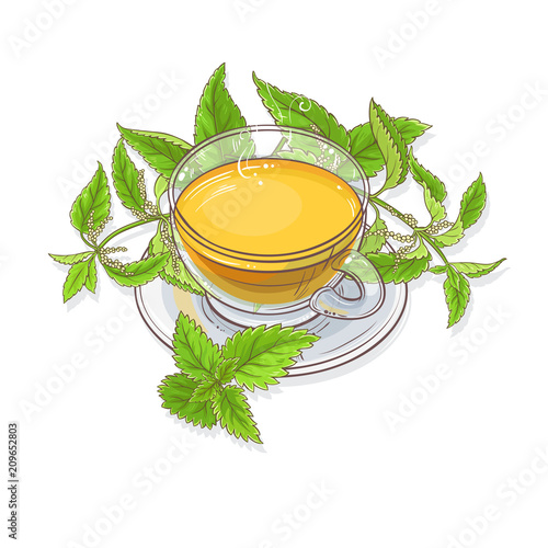 nettle tea illustration