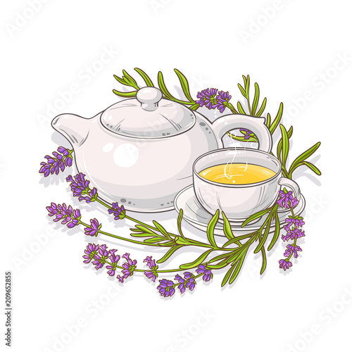 lavender tea illustration