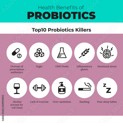 Probiotics health benefits vector infographic. Flat stroke illustration about nutrient rich food and how probiotics influences human body. Top 10 probiotics killer.