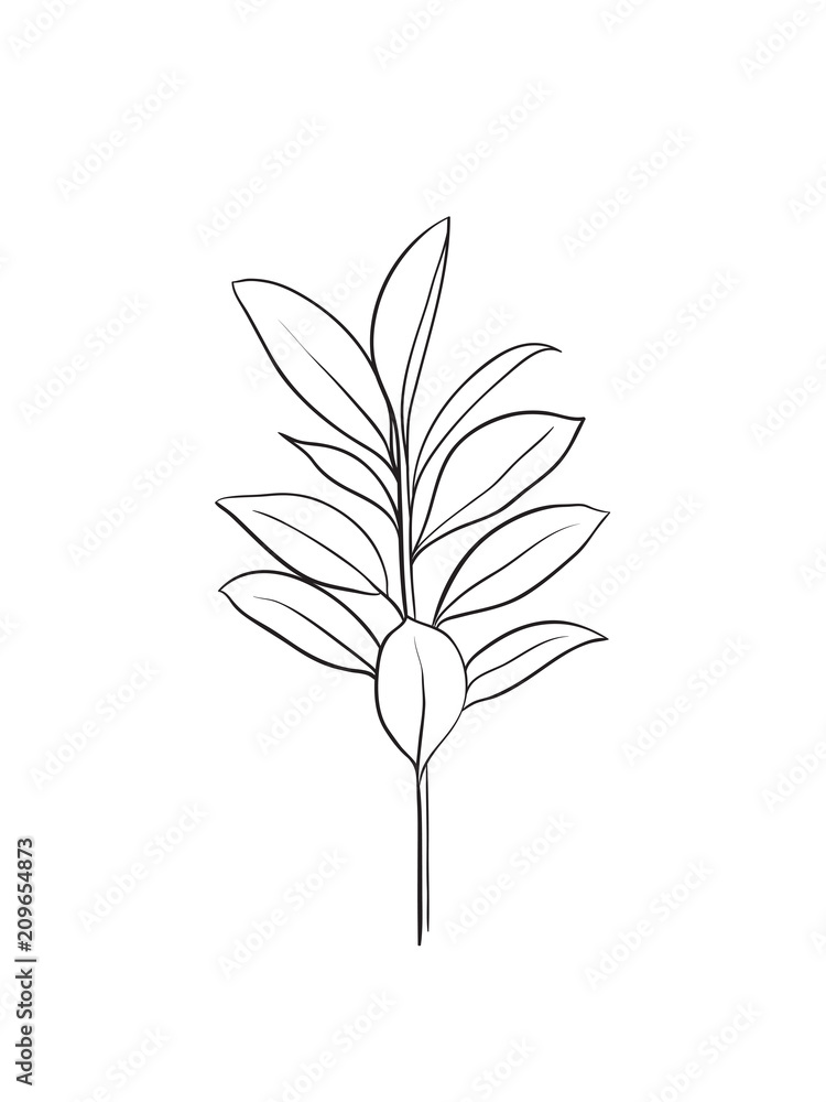 Obraz premium simple leaf icon