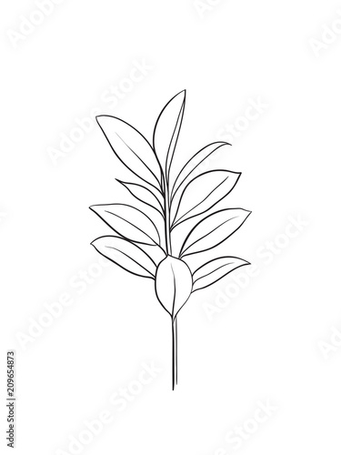 simple leaf icon
