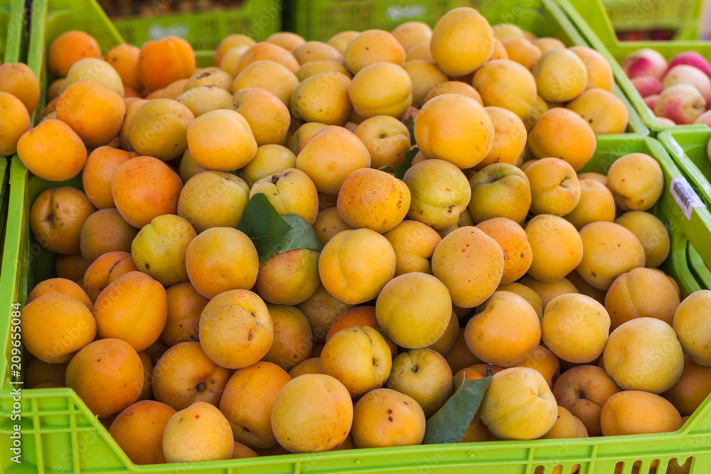 Bright orange apricots in the box for sale on Apricot Fair in Porreres, Mallorca, Spain