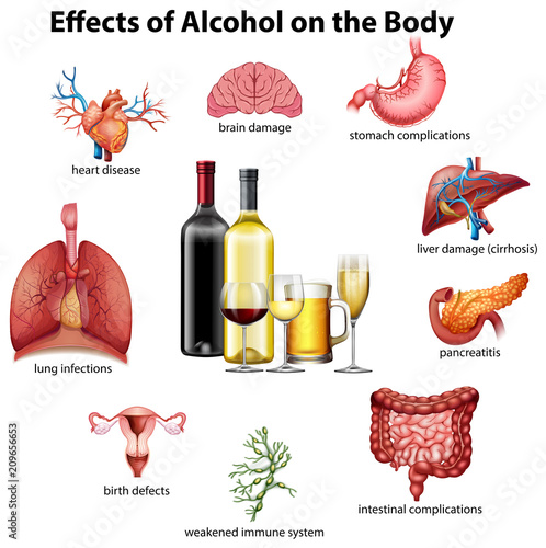 Effects of alcohol on the body