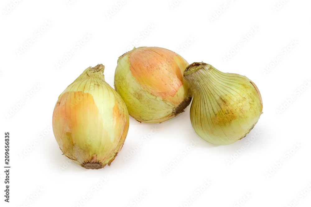 Obraz premium Three young bulb onion on a white background
