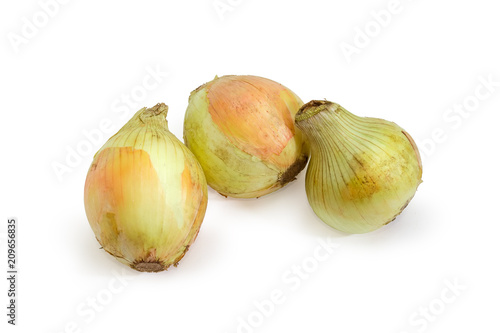 Three young bulb onion on a white background