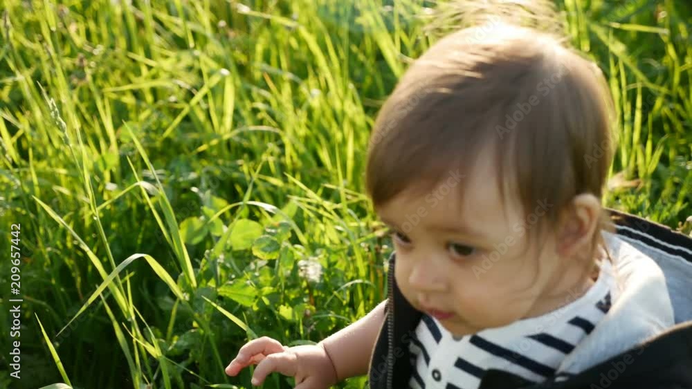 baby boy sitting in tall green grass and studying baby boy sitting in tall green grass and studying