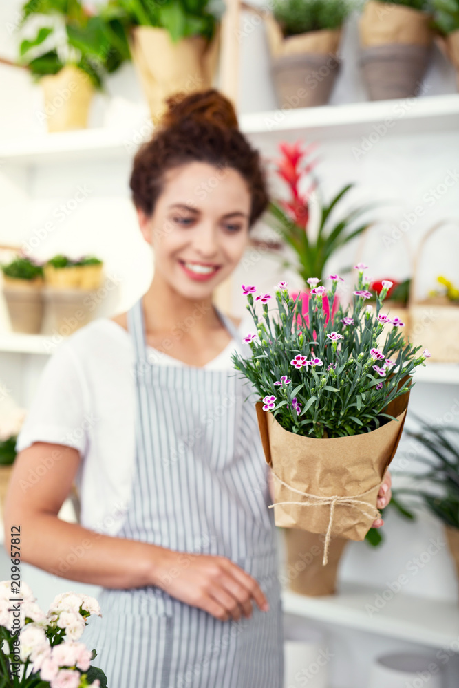 Nice gift. Selective focus of a wrapped plant being given to you