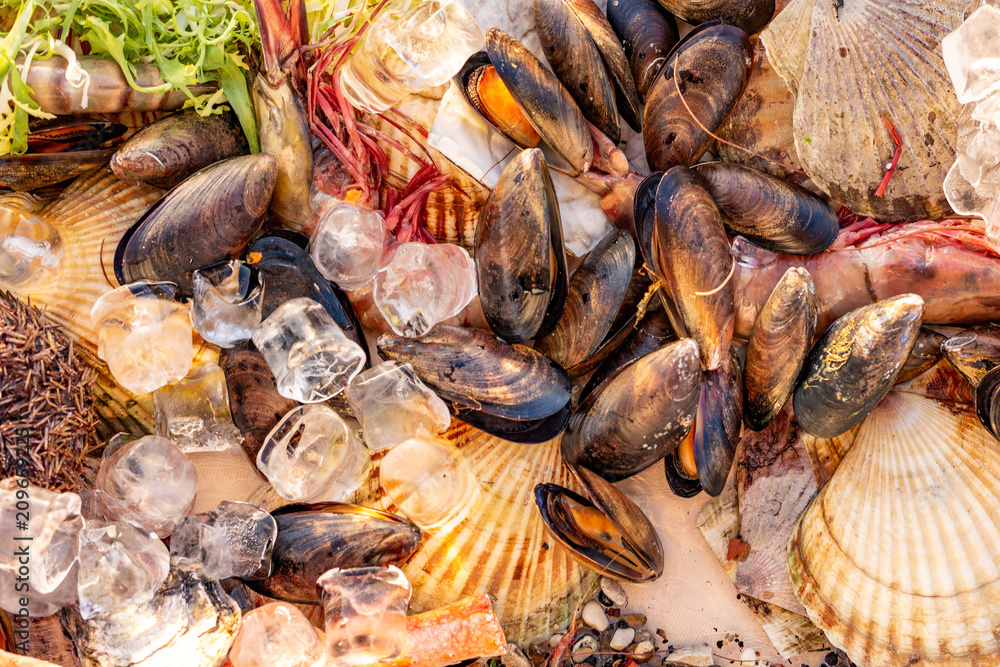 closeup mix seafood on a festive table. Selective focus closeup mix seafood on a festive table. Selective focus
