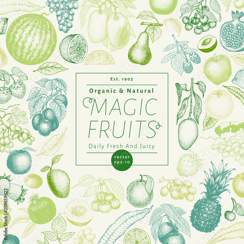 Fruits and berries hand drawn vector illustration. Retro engraved style banner design. Can be use for menu, label, packaging, farm market products.