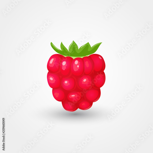 Ripe raspberry