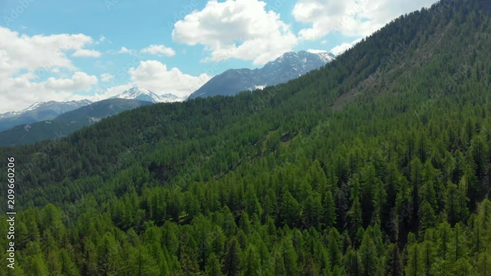 Aerial: flying over alpine valley, scenic forest snowcapped mountain peak on the Italian Alps Aerial: flying over alpine valley, scenic forest snowcapped mountain peak on the Italian Alps